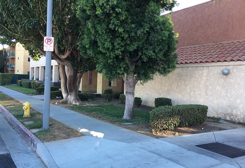 Sidewalk near buildings 