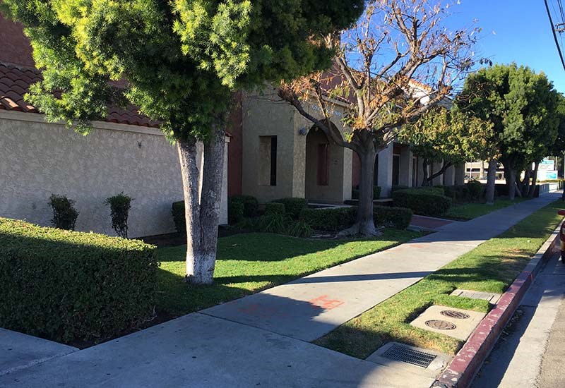 Sidewalk near buildings 