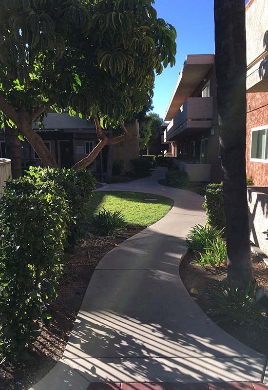 Sidewalk near buildings 