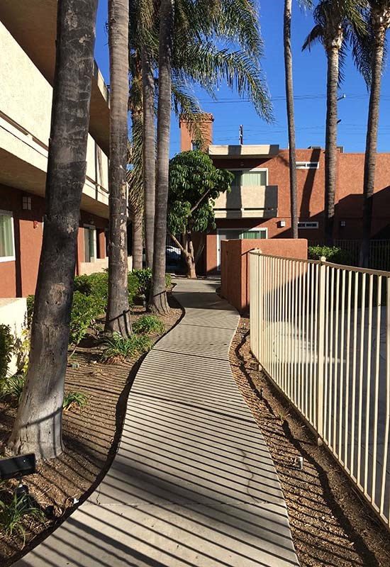 Sidewalk near buildings 
