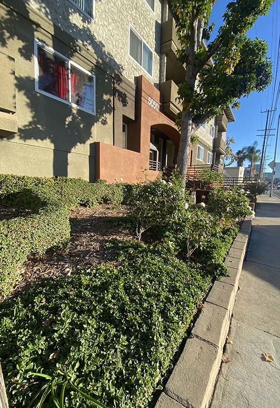 Exterior view of community by sidewalk 