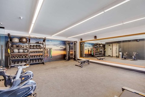 a home gym with a mural of a sunset on the wall