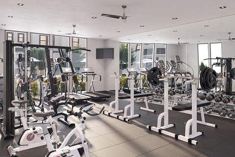 A gym with a variety of equipment including weights and cardio machines.