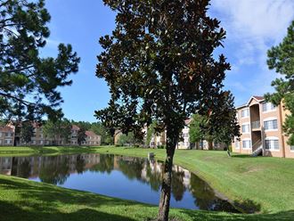 The Edge at Town Center lake views and mature landscaping