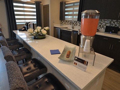 lounge area with kitchen at The Edge at Town Center Apartments, Jacksonville, FL, 32224