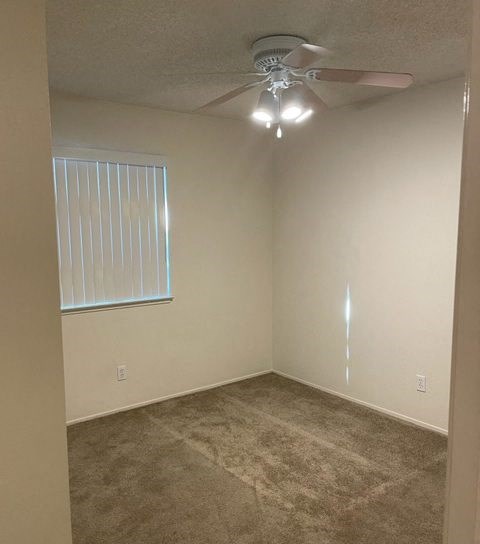 Room with window and carpet