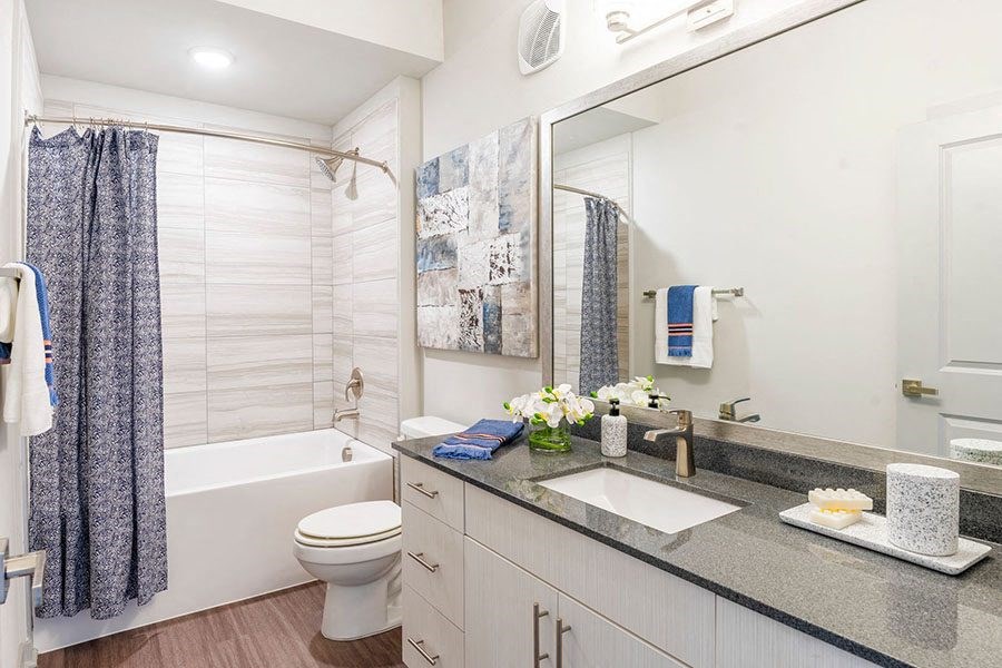 Bathroom vanity and shower