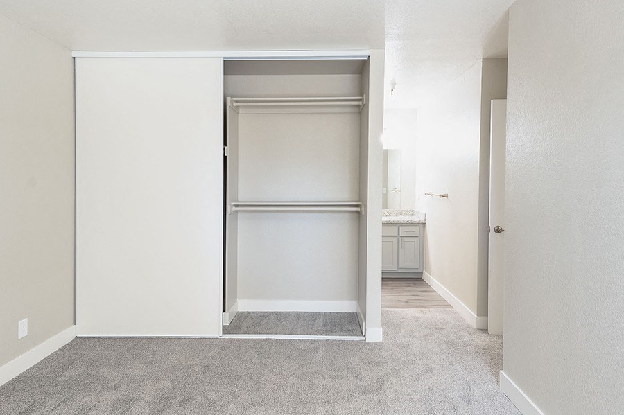 2 Bedroom 2 bath bedroom with closet