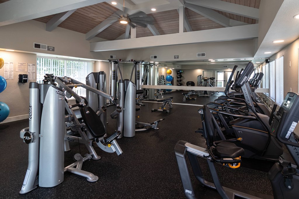 a gym with cardio equipment and weights on the floor