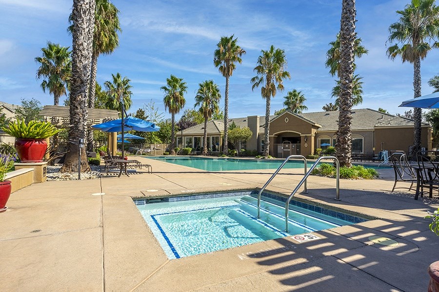 a swimming pool with palm trees and a house in the background