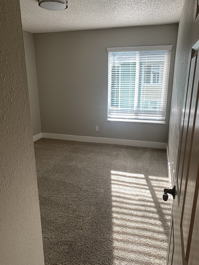 Bedroom with oversized windows and lots of natural light
