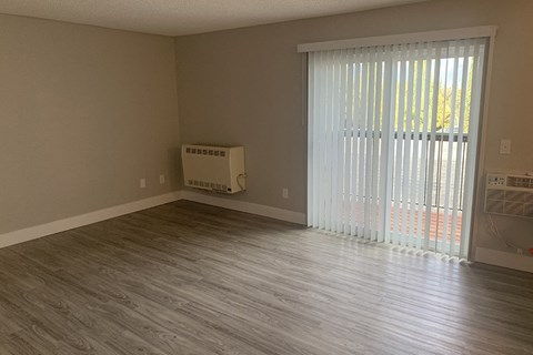Living room with patio door and plank flooring