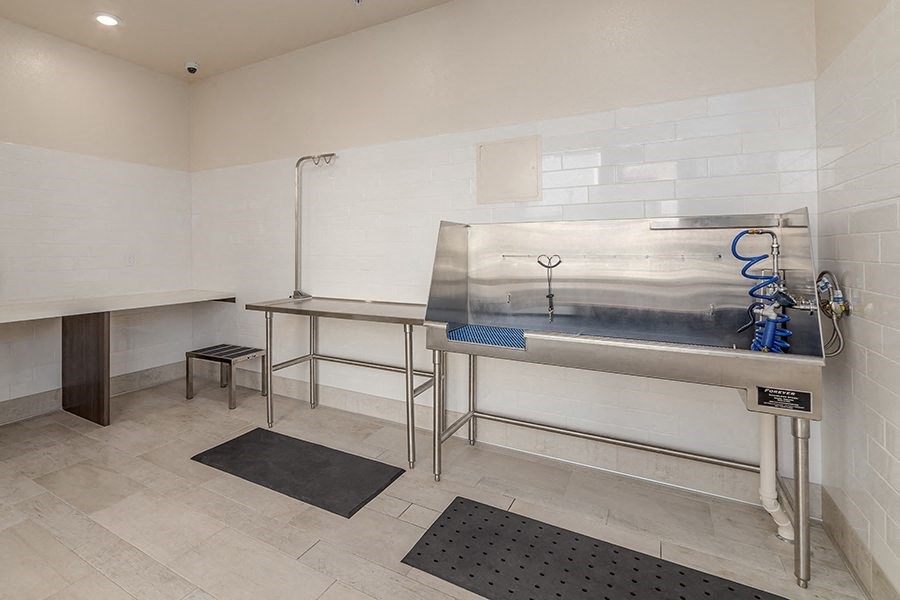 Dog Friendly Apartments in Folsom CA - Hub - Dog Wash Station with Shower and Grooming Table