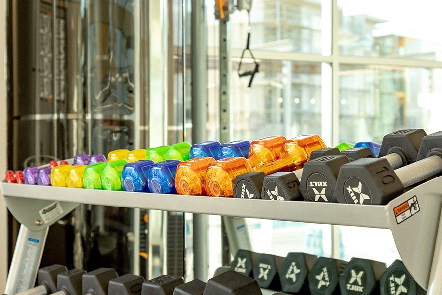 Free weights on a rack