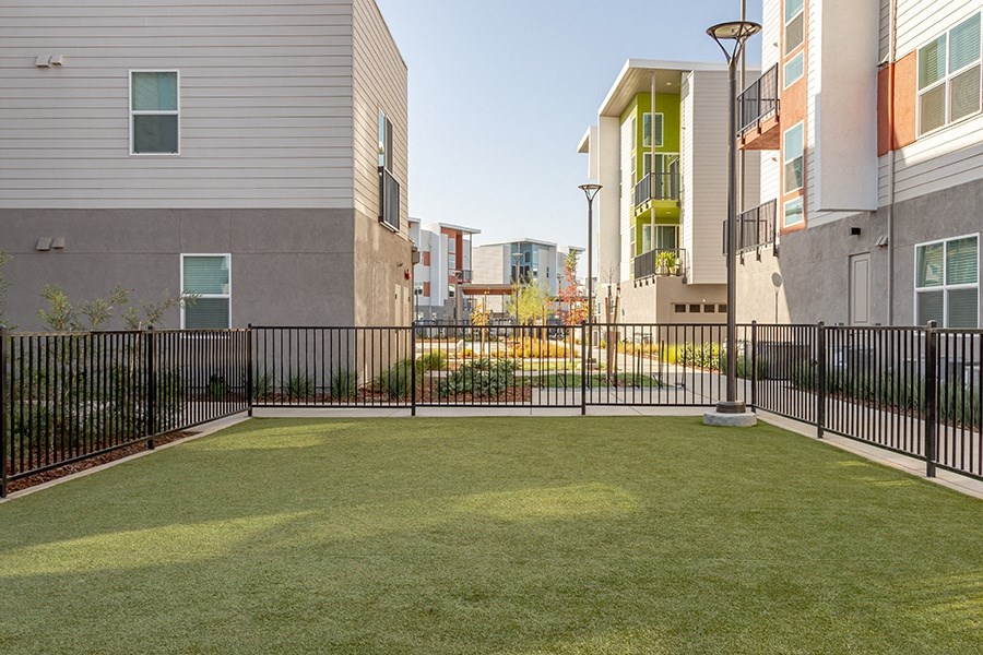 Dog Park l The Hub Apartments in Folsom