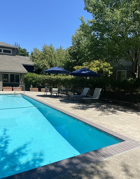 Luxury Apartments in Citrus Heights, CA - The Reva Apartments - Pool Outside With Lounge Chairs and Umbrellas