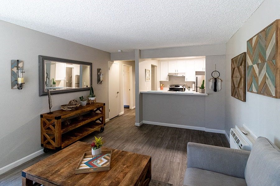 Living room and kitchen area