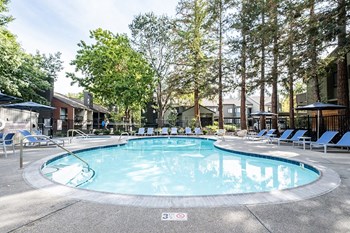 Pool and lounge chairs - Photo Gallery 4