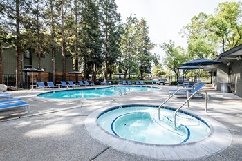 Pool and spa with lounge chairs - Photo Gallery 5
