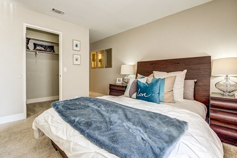 a bedroom with a bed and a closet