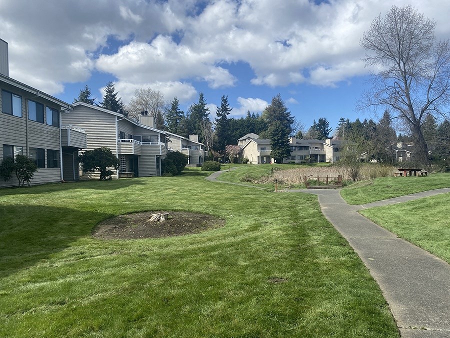 Lake Meridian Shores community path throughout community