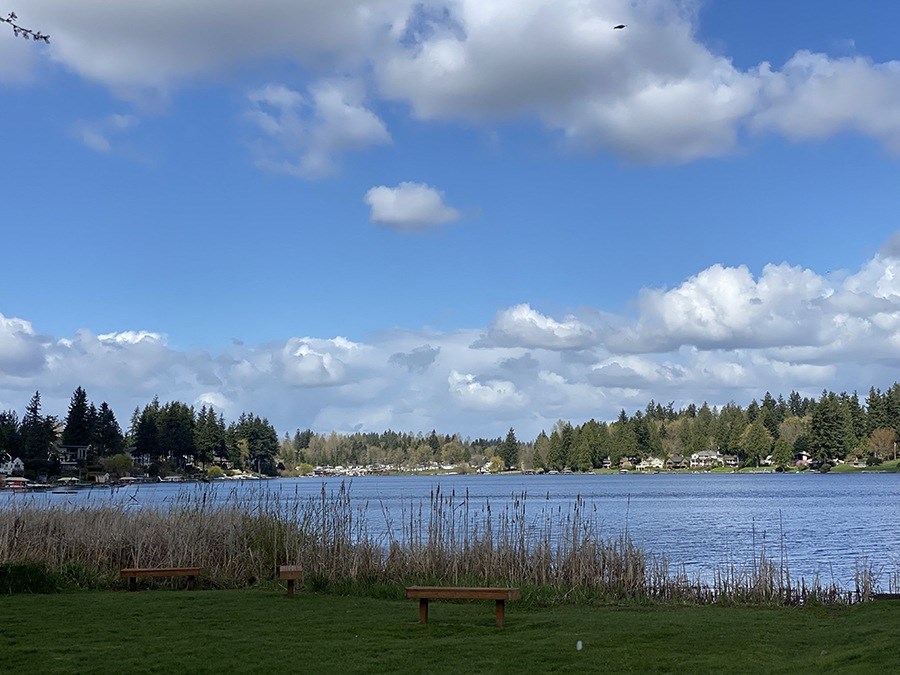 One-BR Apartments in Kent, WA - Township Lake Meridian - View of Lake Meridian and Surrounding Community