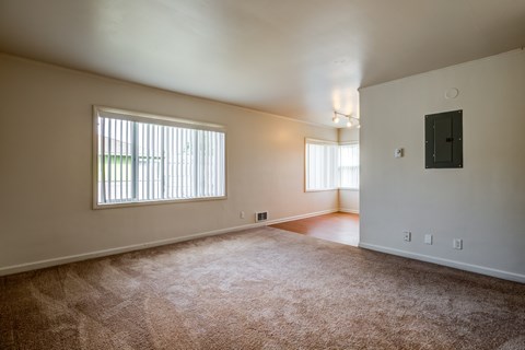 Plush Carpeting at Lake Washington Apartments, Washington