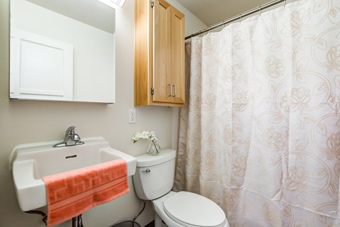 Luxurious Bathroom at Lake Washington Apartments, Seattle Washington