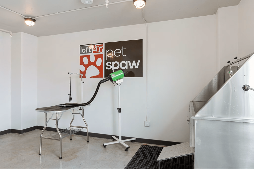 Room interior at LOFT 205 Apartments, Reno 89501