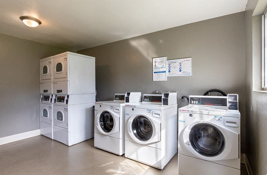 a group of washing machines and dryers in a laundry room