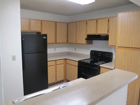 A black refrigerator and stove in a kitchen with wooden cabinets.