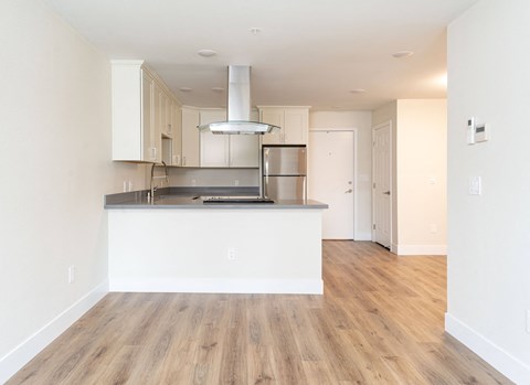 Kitchen and Living Room