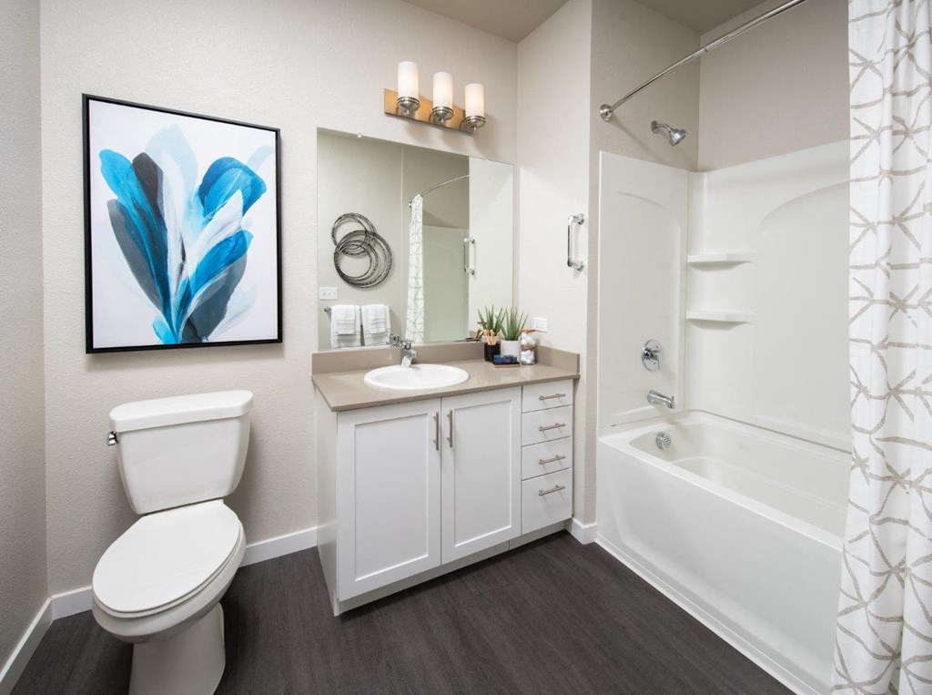 Bathroom shower and vanity