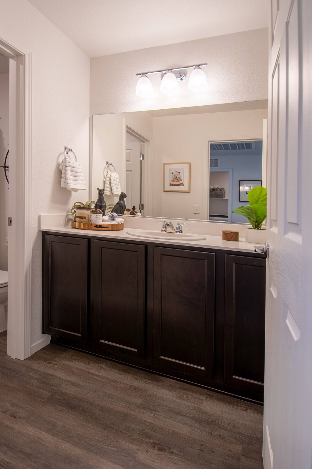 a bathroom with a sink and a mirror in a home