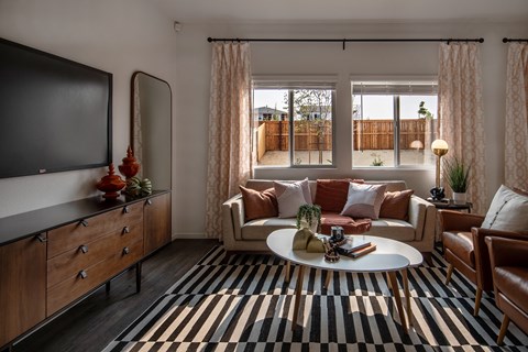 a living room with a striped rug and a couch and a television