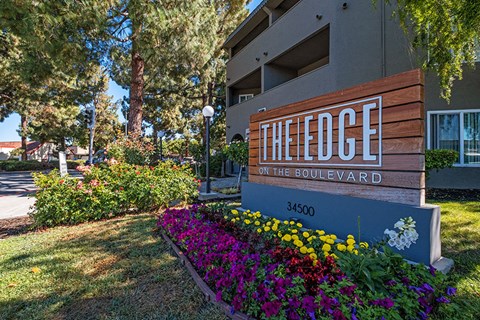 Edge on the Boulevard - Building Sign, Building Exterior, Tall Trees, and Landscape Edge on the Boulevard - Building Sign, Building Exterior, Tall Trees, and Landscape at The Edge on the Boulevard, California, 94555