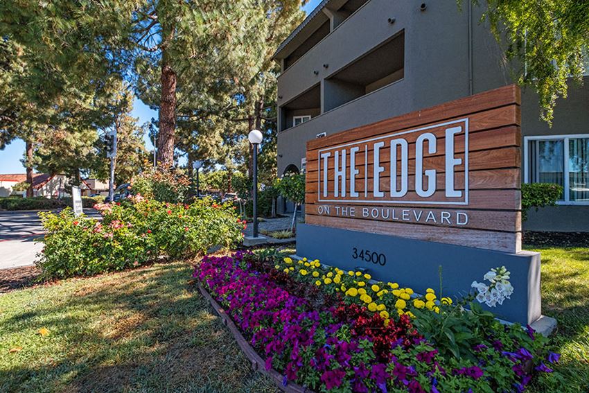 Apartments in Fremont CA - Edge on the Boulevard - Building Sign, Building Exterior, Tall Trees, and Landscape - Photo Gallery 1