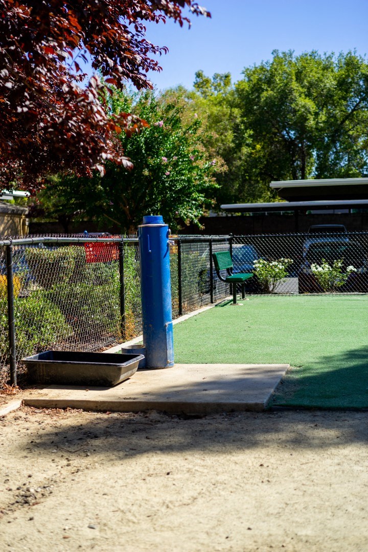a blue water fountain in the middle of a grassy area next to a fence