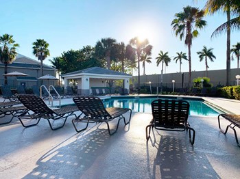 Oaks at Pompano resort style swimming pool lined with palm trees and lounge chairs - Photo Gallery 6