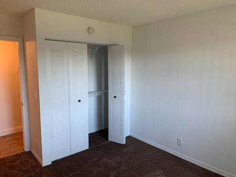 a bedroom with a closet and a door to a closet