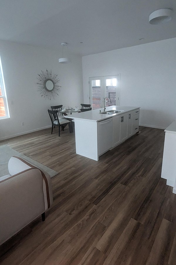 kitchen and living room