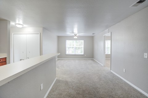 Empty Living Area at PALMETTO RIDGE Apartments, TITUSVILLE, 32960