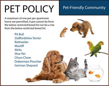 San Marco pet policy image at San Marco Apartments, Ormond Beach