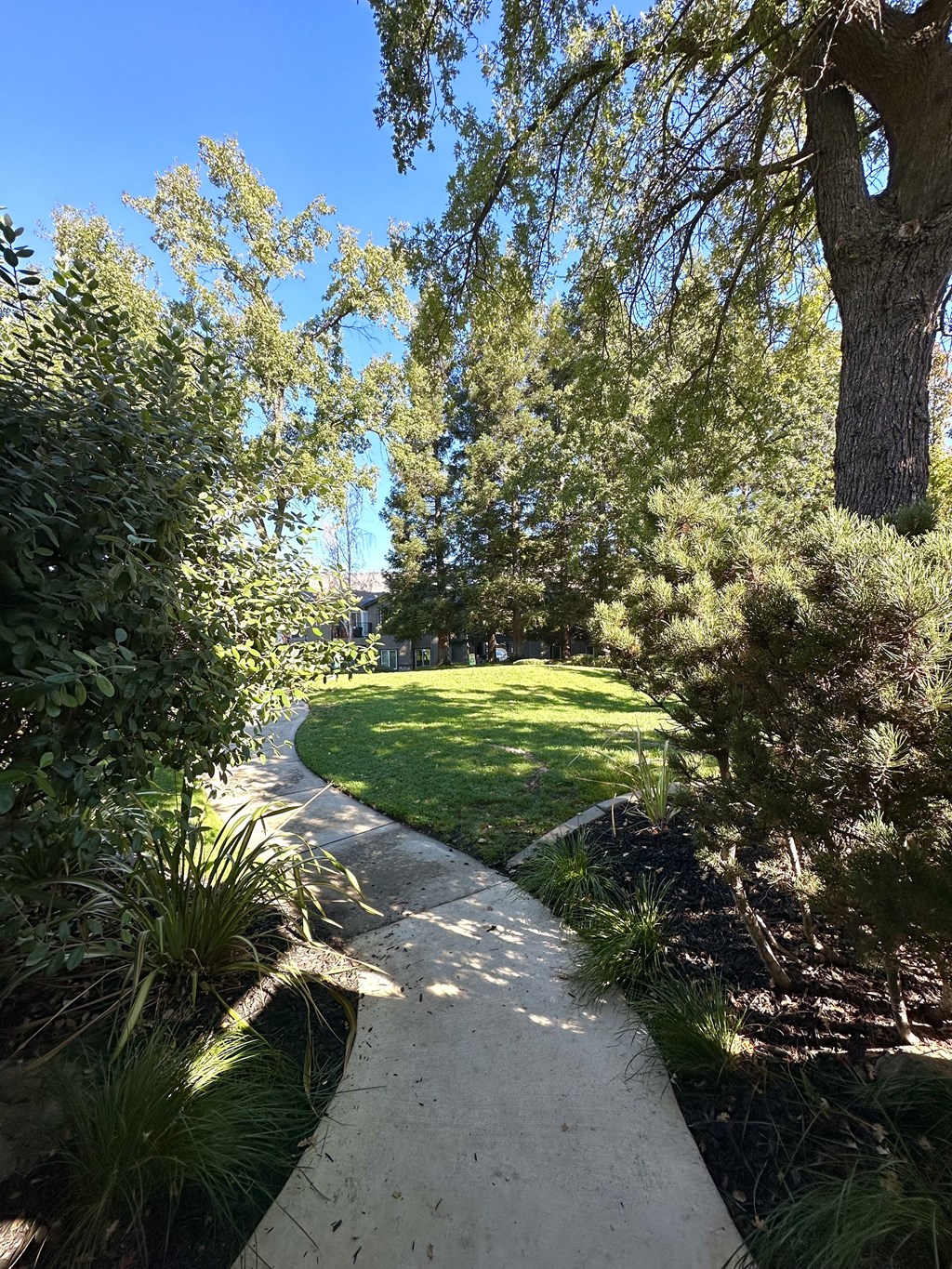 walkway preserve at creekside