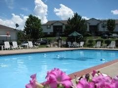 A pool surrounded by chairs and flowers with houses in the background.