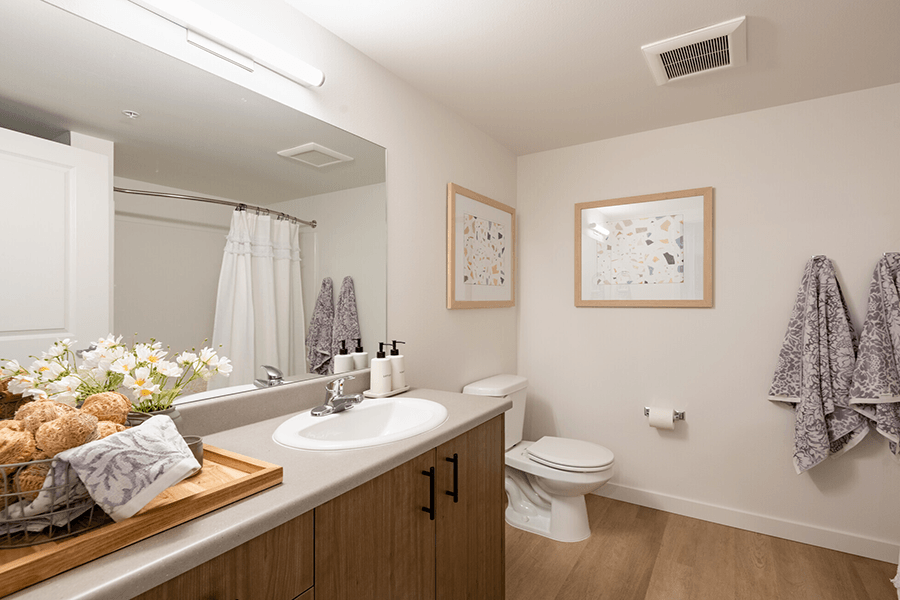 our apartments offer a bathroom with a shower