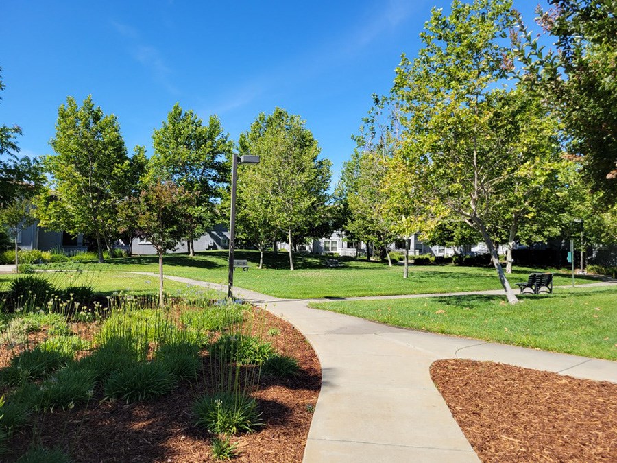 Sidewalks throughout community