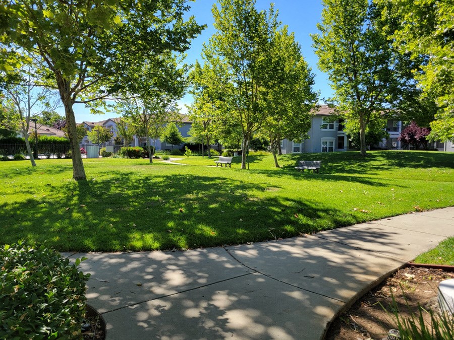Lush greenery surrounding community
