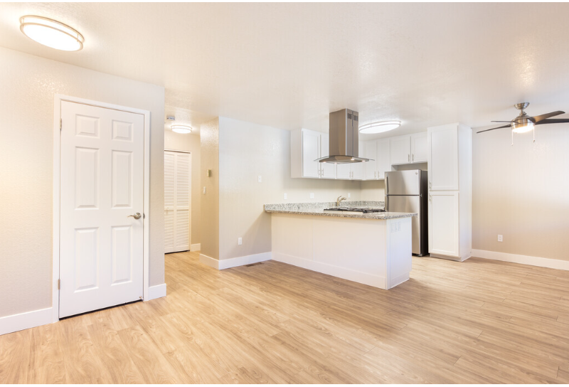 Living room and kitchen area with wood floors