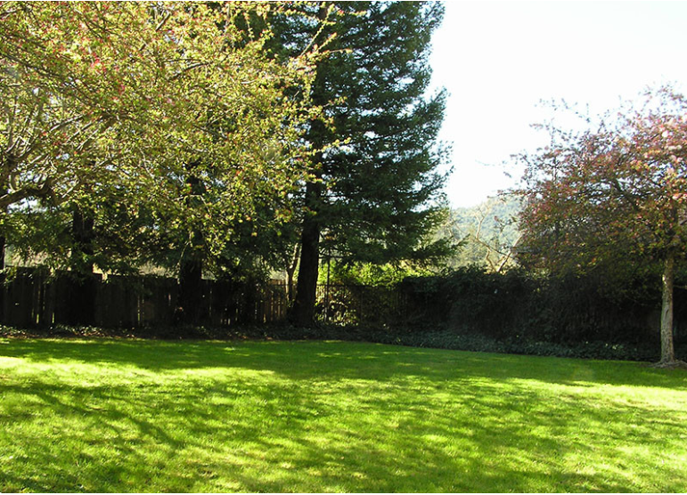 Landscape area with grass